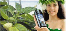 ���� Noni ���� Noni TAHITIAN MLM Noni-Best.ru MLM