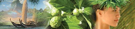 ���� Noni ���� Noni TAHITIAN MLM Noni-Best.ru MLM